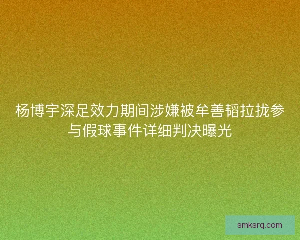 杨博宇深足效力期间涉嫌被牟善韬拉拢参与假球事件详细判决曝光 杨博宇深足效力期间涉嫌被牟善韬拉拢参与假球事件详细判决曝光
